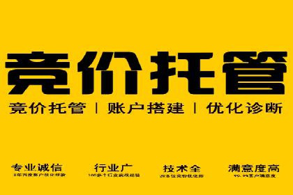 网络推广中的竞价广告：成功案例解析